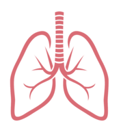 people & lung free transparent png image.