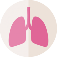 people & Lung free transparent png image.