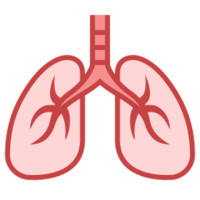 people & Lung free transparent png image.