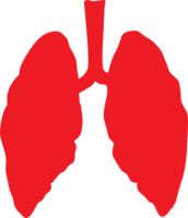 people & lung free transparent png image.
