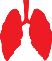 people & Lung free transparent png image.