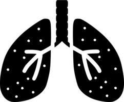 people & Lung free transparent png image.