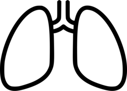 people & lung free transparent png image.