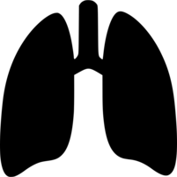 people & lung free transparent png image.