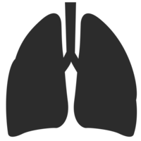 people & lung free transparent png image.