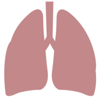 people & Lung free transparent png image.