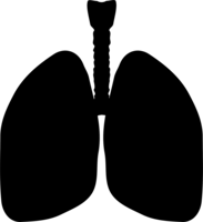 people & Lung free transparent png image.