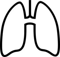 people & lung free transparent png image.