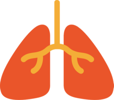 people & Lung free transparent png image.