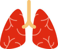 people & Lung free transparent png image.