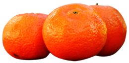 fruits & Mandarin free transparent png image.