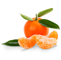 fruits & Mandarin free transparent png image.