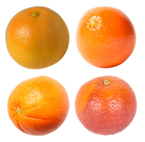 fruits & Mandarin free transparent png image.