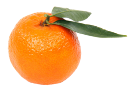fruits & Mandarin free transparent png image.