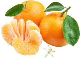 fruits & Mandarin free transparent png image.