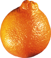 fruits & mandarin free transparent png image.