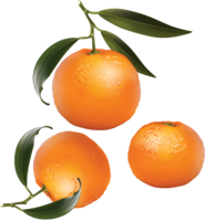 fruits & mandarin free transparent png image.