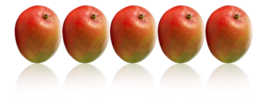 fruits & mango free transparent png image.