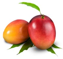 fruits & Mango free transparent png image.