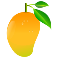 fruits & Mango free transparent png image.