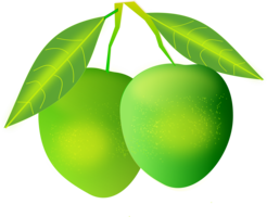 fruits & mango free transparent png image.