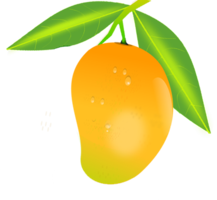 fruits & mango free transparent png image.