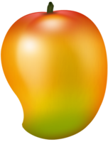 fruits & Mango free transparent png image.