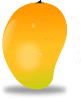 fruits & mango free transparent png image.