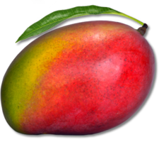 fruits & Mango free transparent png image.