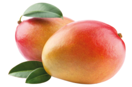 fruits & mango free transparent png image.