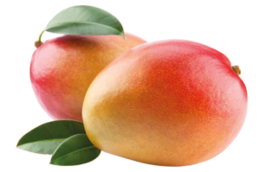 fruits & Mango free transparent png image.