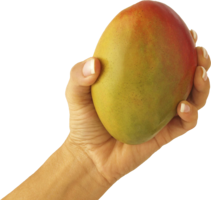 fruits & mango free transparent png image.