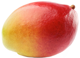 fruits & mango free transparent png image.