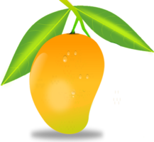 fruits & mango free transparent png image.