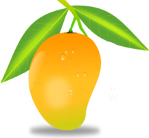 fruits & Mango free transparent png image.