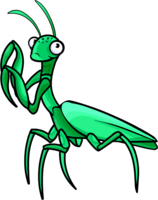 insects & mantis free transparent png image.