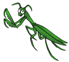 insects & mantis free transparent png image.