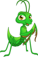 insects & Mantis free transparent png image.