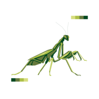 insects & mantis free transparent png image.