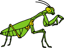 insects & mantis free transparent png image.