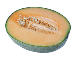 fruits&Melon png image.