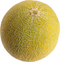 fruits & Melon free transparent png image.