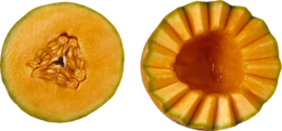 fruits & Melon free transparent png image.