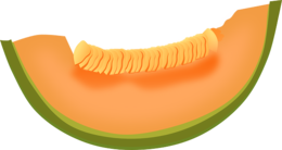 fruits & Melon free transparent png image.