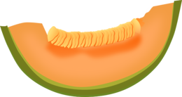 fruits & melon free transparent png image.