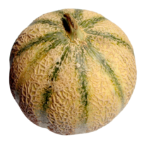 fruits & melon free transparent png image.