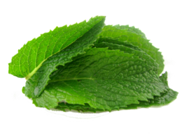 nature & peppermint free transparent png image.