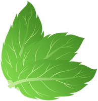 nature & Peppermint free transparent png image.