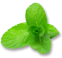 nature & peppermint free transparent png image.