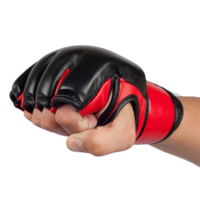 sport & mixed martial arts free transparent png image.